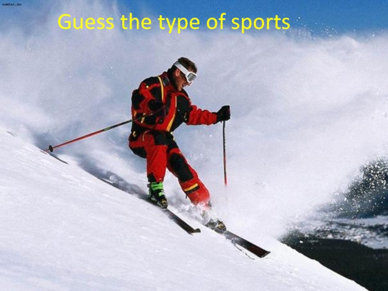 Guess the type of sports