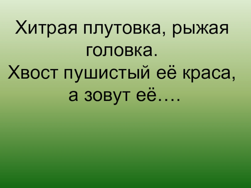 У высокий рост у пушистый хвост. Хитрая плутовка рыжая головка хвост пушистый Краса а зовут её. Хитрая плутовка рыжая головка.