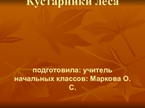 Презентация по окружающему миру на тему Кустарники леса