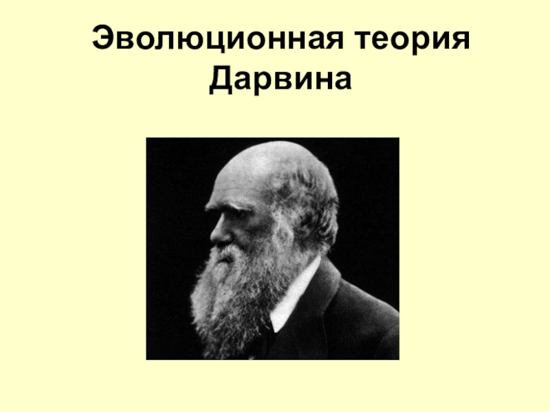 Доклад по теме Эволюционная теория Чарльза Дарвина 
