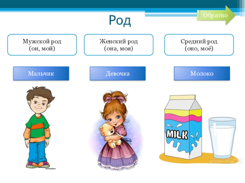 Р роде. Женский род. Мужской и женский род. Мужской женский средний род. Мужской и женский род для дошкольников.