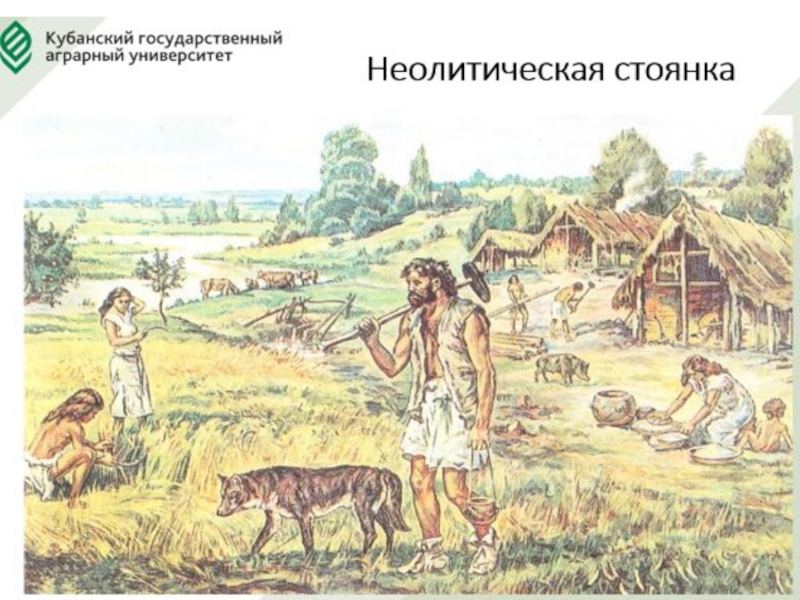 Первый земледельцы появились в. Первые земледельцы и скотоводы. Неолит скотоводство. Поселок земледельцев и скотоводов. Первобытное земледелие.