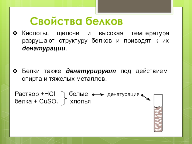 А также белков и. Вывод о свойствах белков. Влияние кислоты на белок. Воздействие кислот на белок. Взаимодействие белка с кислотами.