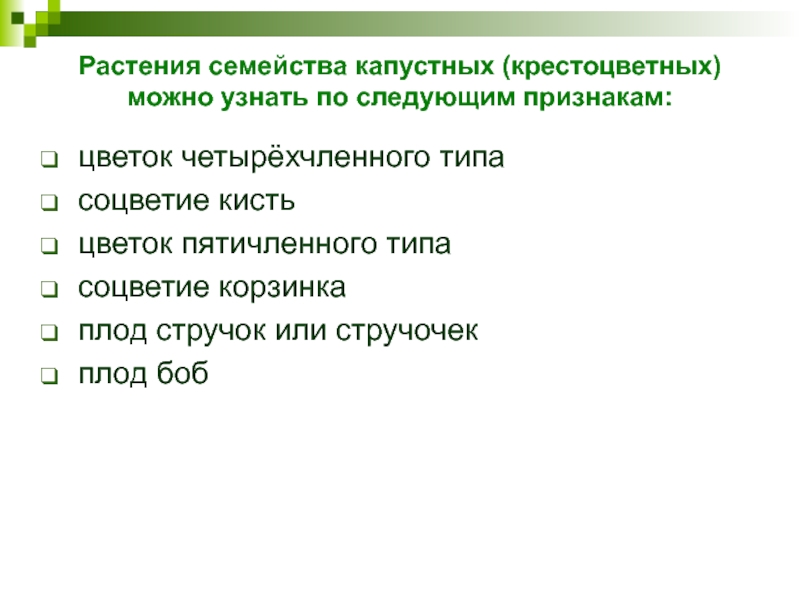 Растения семейства капустных (крестоцветных) можно узнать по следующим признакам:цветок четырёхчленного типа   соцветие кисть   цветок пятичленного типа  соцветие корзинка  плод стручок или