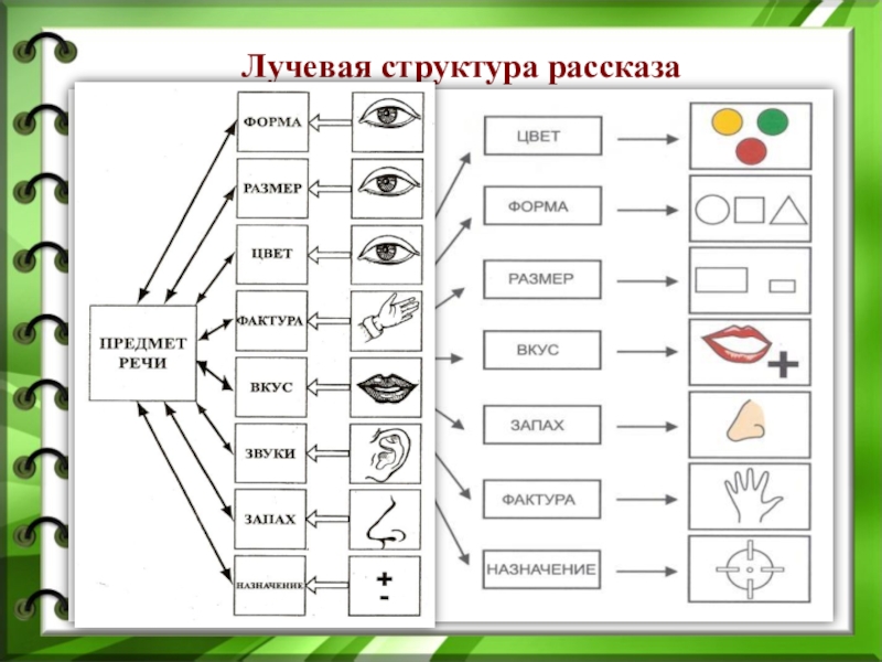 Расскажи схему. Структура рассказа. Структура составления рассказа. Структура рассказа для дошкольников. Сенсорно-графические схемы.