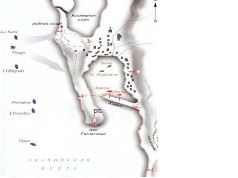 Схема обороны петропавловска камчатского 1854