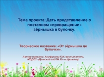 От зёрнышка до булочки