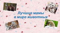 Лучшие мамы в мире животных