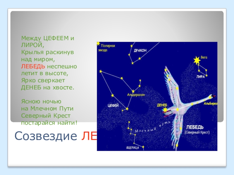 Созвездие лебедь схема для 2 класса окружающий мир