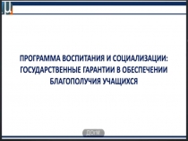 Презентация по воспитательной работе Программа воспитания и социализации