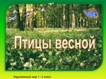 Презентация по окружающему миру Птицы весной (1 класс)