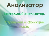 Презентация по биологии Анализаторы зрения (8 класс)