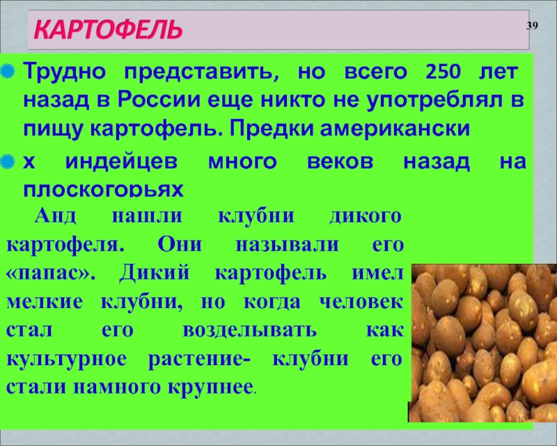 Трудно представить, но всего 250 лет назад в России еще никто не употреблял в пищу картофель. Предки