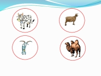 Математика сантметр 4 класс метр