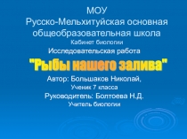 Презентация Рыбы нашего залива