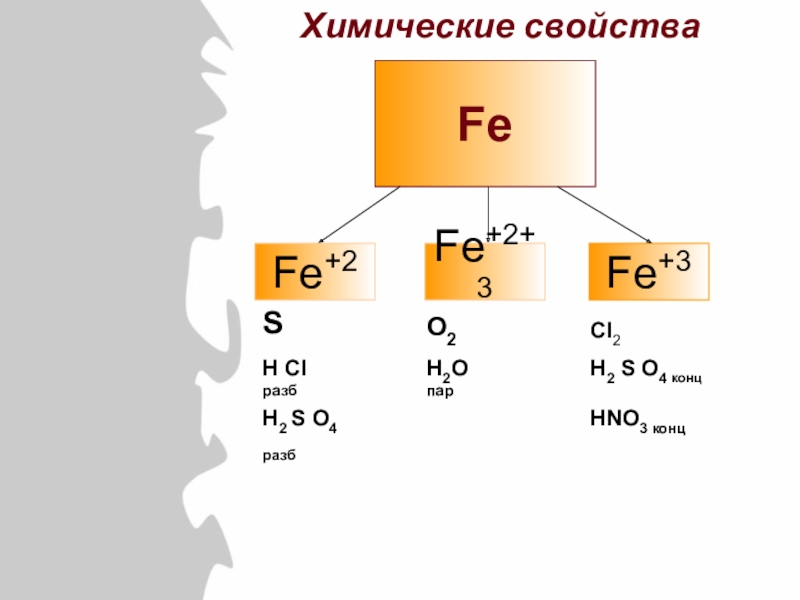 Fe3o4 h2so4 конц