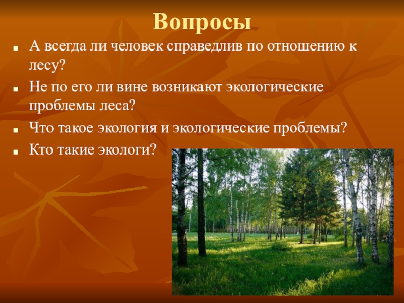 Край лесной слова. Презентация YF ntve KTC B xtkjdtr. Презентация на тему лес. Презентация на тему лес и человек. Вопросы на тему лес.