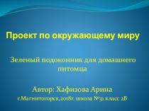 Презентация к проекту Трава для кошки 2 класс