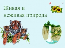 Живая и Неживая природа