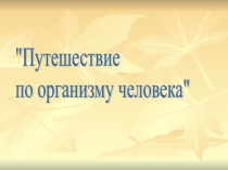 Презентация интегрированного урока познания мира и математики по теме Обобщение 3 класс