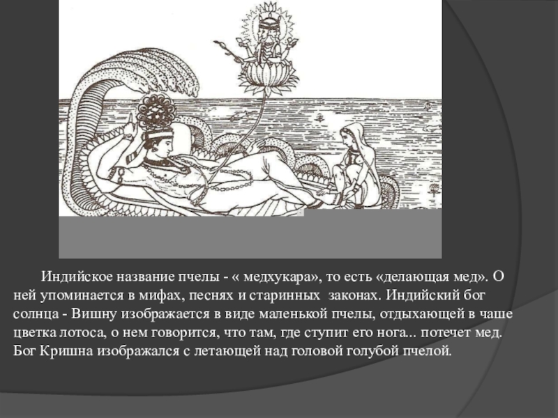 Божественной кормилицей индийцы называли. Мифы о пчелах. Пчеловодство в мифах и легендах. Пчелы в мифах и легендах. Пчела в мифах и легендах картинки.