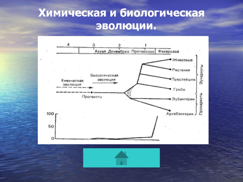 Схема перехода химической эволюции в биологическую