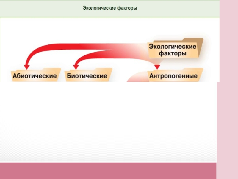 Влияние экологических факторов на организм презентация 9 класс