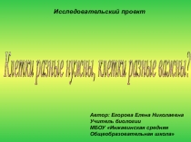 Презентация по биологии на тему Клетки разные нужны, клетки разные важны