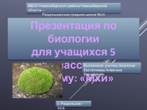 Презентация по биологии Мхи (5 класс)