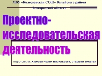 Проектно-исследовательская деятельность