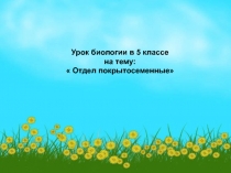 Презентация по биологии на тему Покрытосеменные