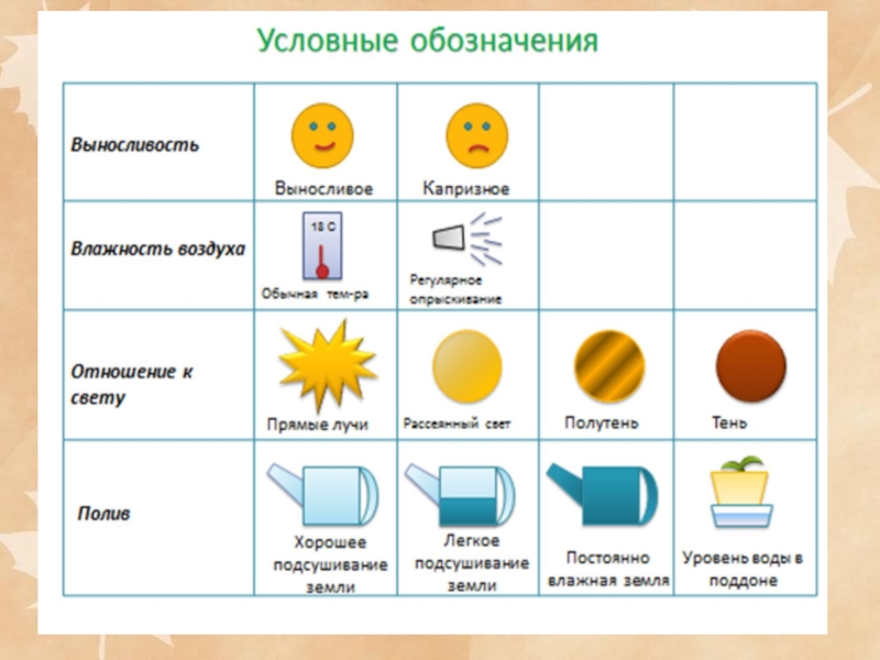 Условные обозначения погоды для дошкольников картинки