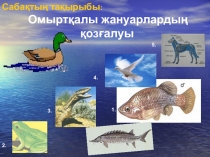Омыртқалы жануарлардың қозғалуы 7-сынып