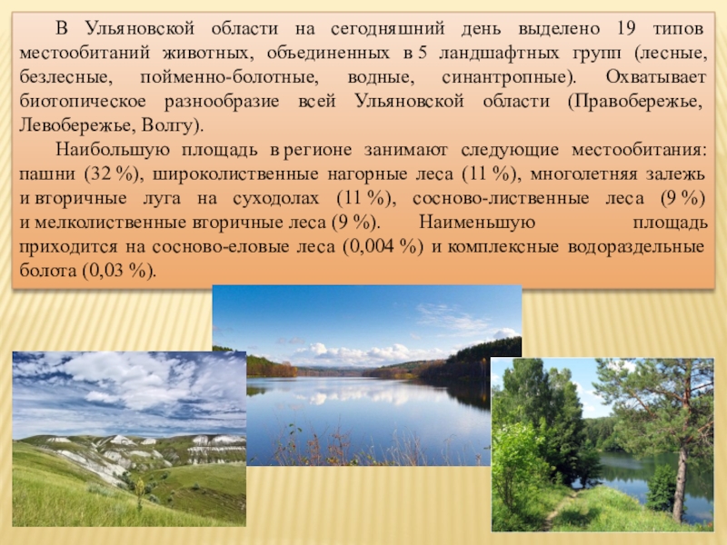 Область доклад. Рельеф Ульяновской области. Рельеф Ульяновской области сообщение. Формы рельефа Ульяновской области. Дайте описание рельефа Ульяновской области таблица.