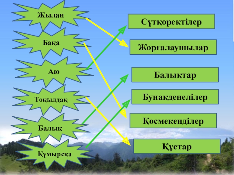 Өсімдіктер мен жануарлардың адам өміріндегі рөлі презентация