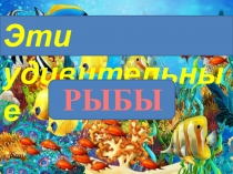 Презентация по биологии Эти удивительные рыбы