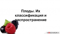 плоды, их классификация