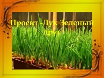 Проект в средней группе Лук Зеленый друг