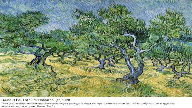 Винсент Ван Гог “Оливковая роща”, 1889г. Также молитва в Гефсиманском саду и Вознесение Иисуса происходят на Масличной горе, поэтому масличные
