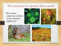 Презентация по биологии на тему Среды обитания организмов