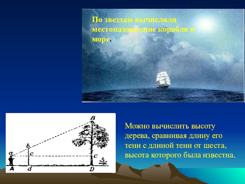 Тригонометрия в окружающем мире и жизни человека презентация