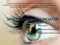 Зрительный анализатор