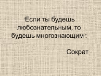 Презентация - кроссворд по технологии 6 класс материаловедение