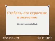 Презентации по биологии к разделу Органы растений на тему Стебель (6 класс)
