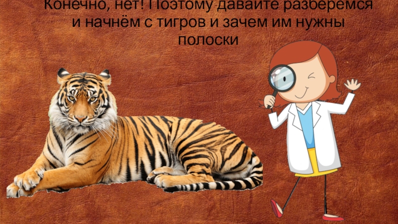 Зачем тигру полоски. Почему у тигра полоски. Почему тигр полосатый. Почему тигр полосатый. Энциклопедия про тигров.