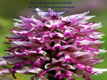 Презентация по биологии 5 класс по теме Покрытосеменные растения