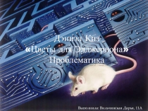Презентация к уроку литературы в 11 классе. Раздел Зарубежная литература 20 века по теме Проблематика произведений авторов 20 века