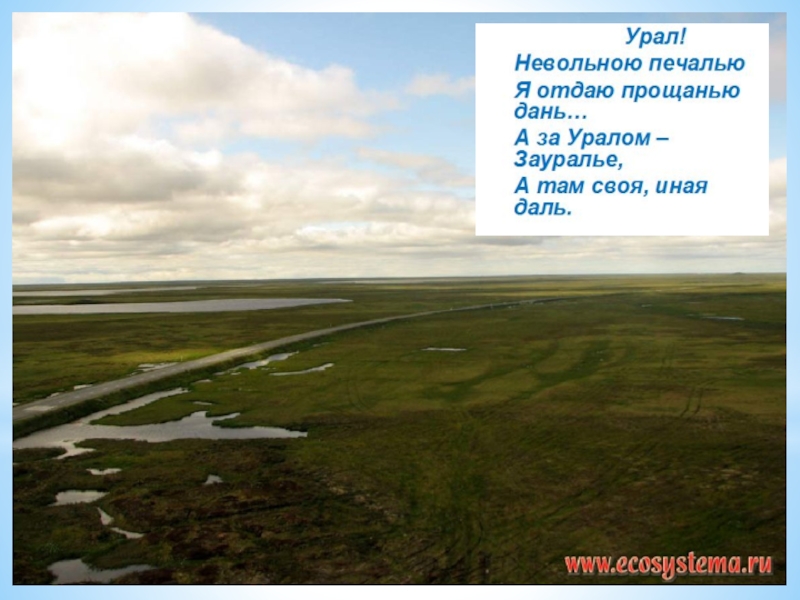 Презентация Презентация Западно- Сибирская равнина: особенности природы.