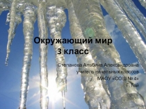 Презентация по окружающему миру