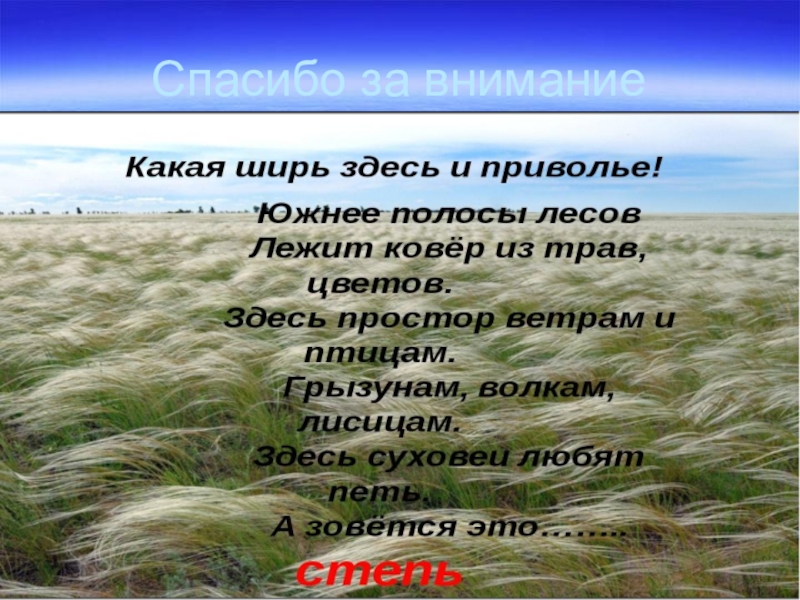 Какая даль какой простор. Спасибо за внимание красная книга Ростовской области. Ширь. Ширь какая. Южнее полосы лесов лежит ковер из трав цветов.